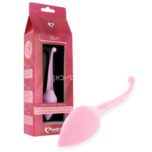 הביצה שהתחפשה – תמונה 2