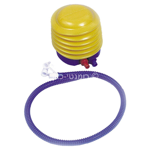 נטלי הכוסית – תמונה 4