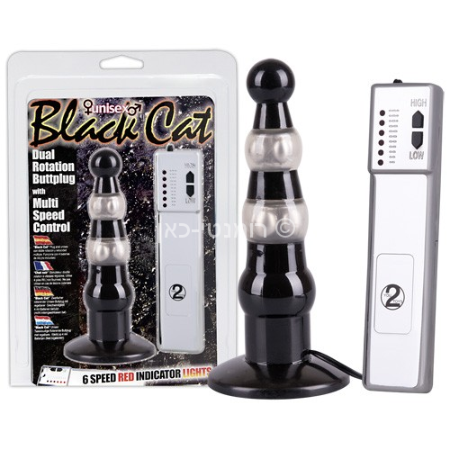 החתול השחור – תמונה 2