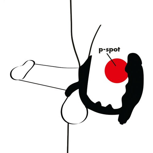 טבעת הפלאג הרוטטת – תמונה 3