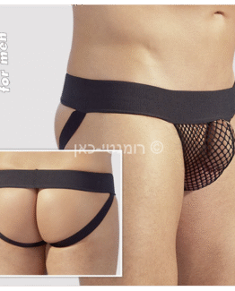 הרשת החושפת