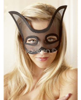 מסכה דו כוונית