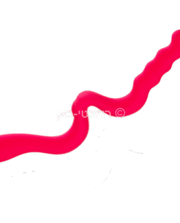 NEW WAVE מבית פאן פקטורי ורוד פוקסיה/שחור